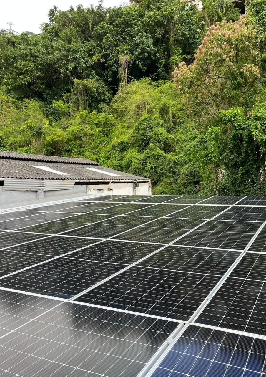 Painéis solares com vista para mata próxima